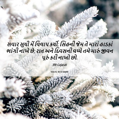 Picture 06 - યશાયા 38:13 GUJIRV - સવાર સુધી મેં - Bible Verse Picture