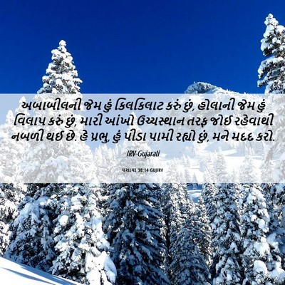 Picture 06 - યશાયા 38:14 GUJIRV - અબાબીલની જેમ હું - Bible Verse Picture