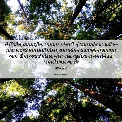 Picture 06 - યશાયા 40:9 GUJIRV - હે સિયોન, વધામણીના - Bible Verse Picture