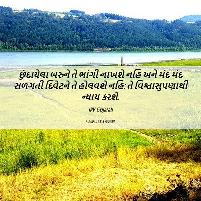 Picture 06 - યશાયા 42:3 GUJIRV - છુંદાયેલા બરુને - Bible Verse Picture