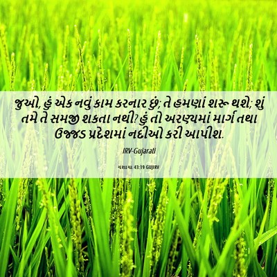 Picture 06 - યશાયા 43:19 GUJIRV - જુઓ, હું એક નવું - Bible Verse Picture