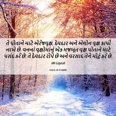 Picture 06 - યશાયા 44:14 GUJIRV - તે પોતાને માટે - Bible Verse Picture