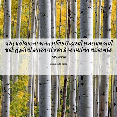 Picture 06 - યશાયા 45:17 GUJIRV - પરંતુ યહોવાહના - Bible Verse Picture