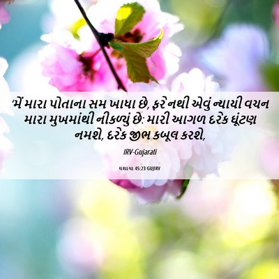 Picture 06 - યશાયા 45:23 GUJIRV - ‘મેં મારા પોતાના - Bible Verse Picture