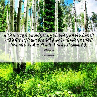 Picture 06 - યશાયા 48:6 GUJIRV - તમે તે સાંભળ્યું - Bible Verse Picture