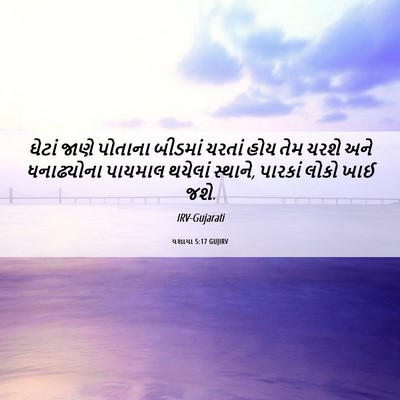 Picture 06 - યશાયા 5:17 GUJIRV - ઘેટાં જાણે પોતાના - Bible Verse Picture