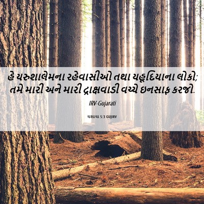 Picture 06 - યશાયા 5:3 GUJIRV - હે યરુશાલેમના - Bible Verse Picture