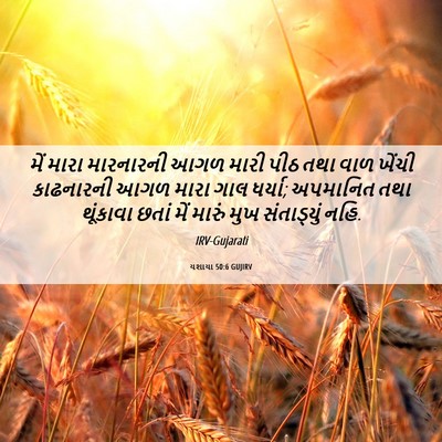 Picture 06 - યશાયા 50:6 GUJIRV - મેં મારા મારનારની - Bible Verse Picture