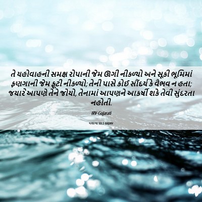 Picture 06 - યશાયા 53:2 GUJIRV - તે યહોવાહની સમક્ષ - Bible Verse Picture