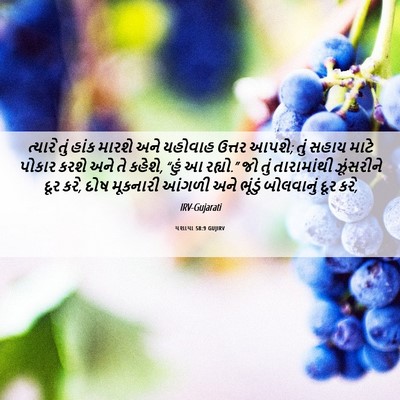 Picture 06 - યશાયા 58:9 GUJIRV - ત્યારે તું હાંક - Bible Verse Picture