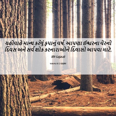 Picture 06 - યશાયા 61:2 GUJIRV - યહોવાહે માન્ય - Bible Verse Picture