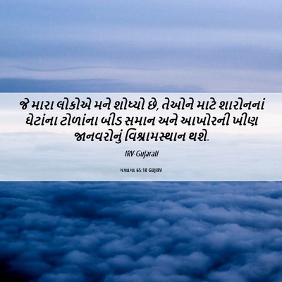 Picture 06 - યશાયા 65:10 GUJIRV - જે મારા લોકોએ મને - Bible Verse Picture