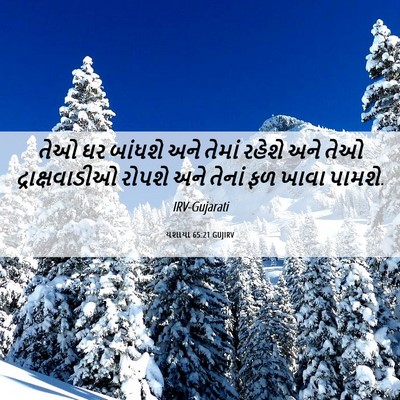 Picture 06 - યશાયા 65:21 GUJIRV - તેઓ ઘર બાંધશે અને - Bible Verse Picture