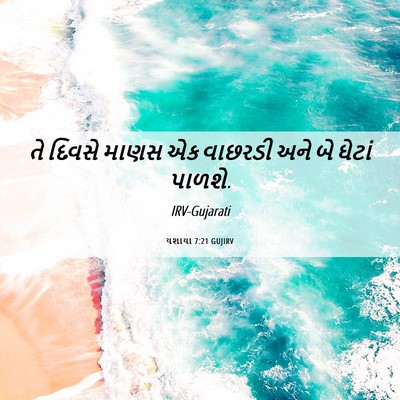 Picture 06 - યશાયા 7:21 GUJIRV - તે દિવસે માણસ એક - Bible Verse Picture