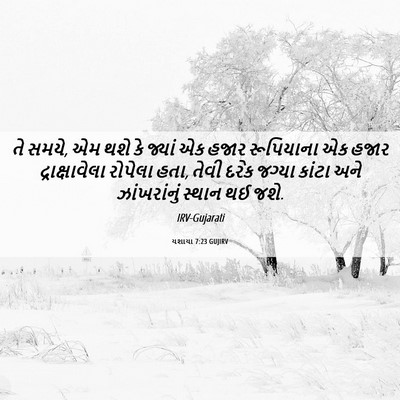 Picture 06 - યશાયા 7:23 GUJIRV - તે સમયે, એમ થશે કે - Bible Verse Picture