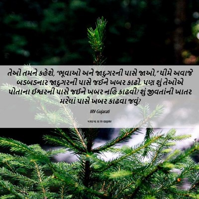 Picture 06 - યશાયા 8:19 GUJIRV - તેઓ તમને કહેશે, - Bible Verse Picture