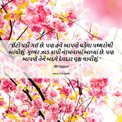 Picture 06 - યશાયા 9:10 GUJIRV - “ઈંટો પડી ગઈ છે, પણ - Bible Verse Picture