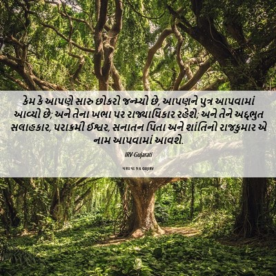 Picture 06 - યશાયા 9:6 GUJIRV - કેમ કે આપણે સારુ - Bible Verse Picture
