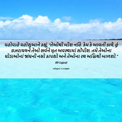 Picture 06 - યહોશુઆ 11:6 GUJIRV - યહોવાહે યહોશુઆને - Bible Verse Picture