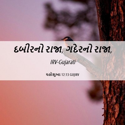 Picture 06 - યહોશુઆ 12:13 GUJIRV - દબીરનો રાજા, - Bible Verse Picture