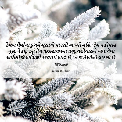 Picture 06 - યહોશુઆ 13:14 GUJIRV - કેવળ લેવીના કુળને - Bible Verse Picture