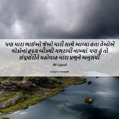 Picture 06 - યહોશુઆ 14:8 GUJIRV - પણ મારા ભાઈઓ જેઓ - Bible Verse Picture
