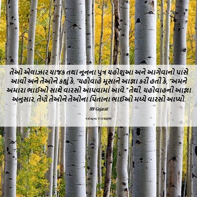 Picture 06 - યહોશુઆ 17:4 GUJIRV - તેઓ એલાઝાર યાજક - Bible Verse Picture