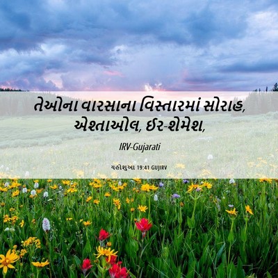 Picture 06 - યહોશુઆ 19:41 GUJIRV - તેઓના વારસાના - Bible Verse Picture