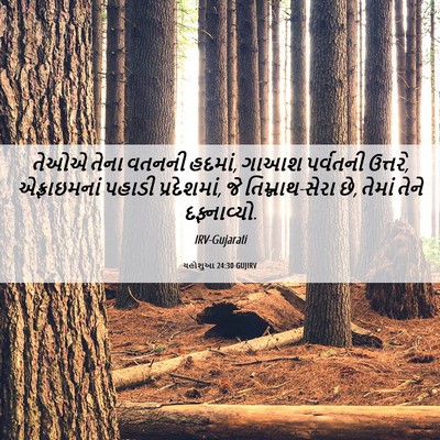 Picture 06 - યહોશુઆ 24:30 GUJIRV - તેઓએ તેના વતનની - Bible Verse Picture