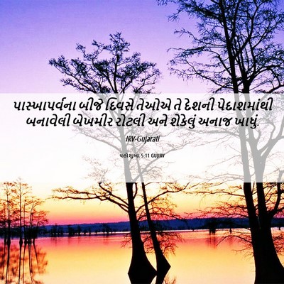 Picture 06 - યહોશુઆ 5:11 GUJIRV - પાસ્ખાપર્વના બીજે - Bible Verse Picture