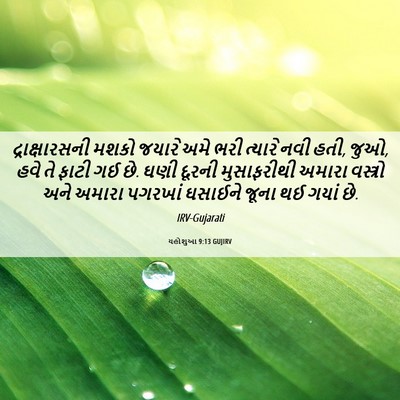 Picture 06 - યહોશુઆ 9:13 GUJIRV - દ્રાક્ષારસની મશકો - Bible Verse Picture