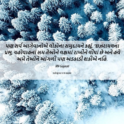 Picture 06 - યહોશુઆ 9:19 GUJIRV - પણ સર્વ આગેવાનોએ - Bible Verse Picture