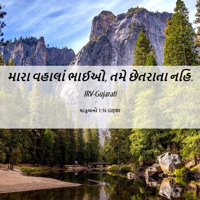Picture 06 - યાકૂબનો 1:16 GUJIRV - મારા વહાલાં ભાઈઓ, - Bible Verse Picture