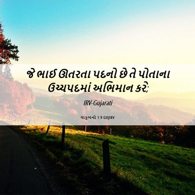 Picture 06 - યાકૂબનો 1:9 GUJIRV - જે ભાઈ ઊતરતા પદનો - Bible Verse Picture