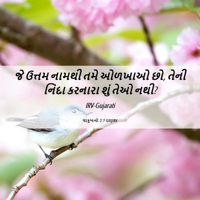 Picture 06 - યાકૂબનો 2:7 GUJIRV - જે ઉત્તમ નામથી તમે - Bible Verse Picture