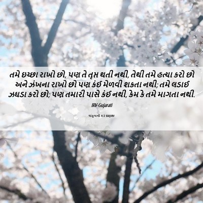 Picture 06 - યાકૂબનો 4:2 GUJIRV - તમે ઇચ્છા રાખો છો, - Bible Verse Picture