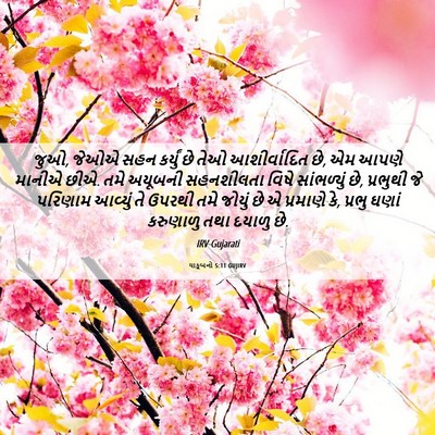 Picture 06 - યાકૂબનો 5:11 GUJIRV - જુઓ, જેઓએ સહન - Bible Verse Picture