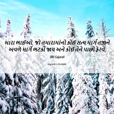 Picture 06 - યાકૂબનો 5:19 GUJIRV - મારા ભાઈઓ, જો - Bible Verse Picture