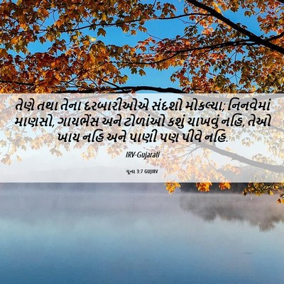 Picture 06 - યૂના 3:7 GUJIRV - તેણે તથા તેના - Bible Verse Picture