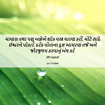 Picture 06 - યૂના 3:8 GUJIRV - માણસ તથા પશુ - Bible Verse Picture