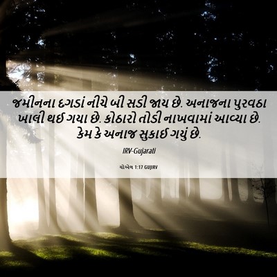 Picture 06 - યોએલ 1:17 GUJIRV - જમીનના દગડાં નીચે - Bible Verse Picture