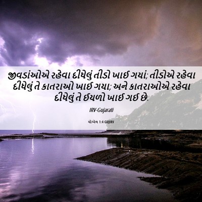 Picture 06 - યોએલ 1:4 GUJIRV - જીવડાંઓએ રહેવા - Bible Verse Picture