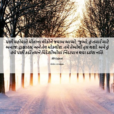 Picture 06 - યોએલ 2:19 GUJIRV - પછી યહોવાહે - Bible Verse Picture