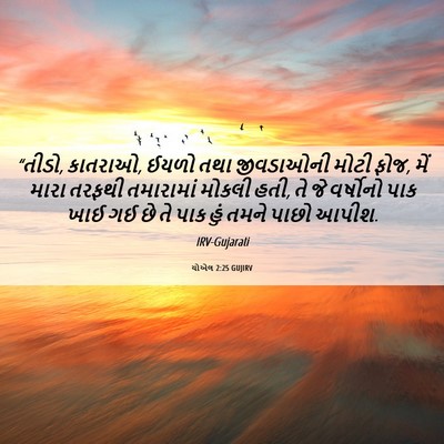 Picture 06 - યોએલ 2:25 GUJIRV - “તીડો, કાતરાઓ, ઈયળો - Bible Verse Picture