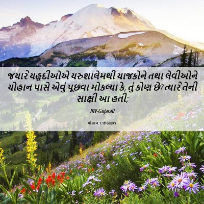 Picture 06 - યોહાન 1:19 GUJIRV - જયારે યહૂદીઓએ - Bible Verse Picture