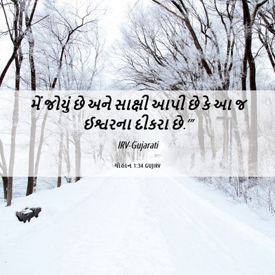 Picture 06 - યોહાન 1:34 GUJIRV - મેં જોયું છે અને - Bible Verse Picture