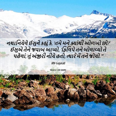 Picture 06 - યોહાન 1:48 GUJIRV - નથાનિયેલે ઈસુને - Bible Verse Picture