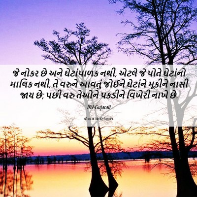 Picture 06 - યોહાન 10:12 GUJIRV - જે નોકર છે અને - Bible Verse Picture