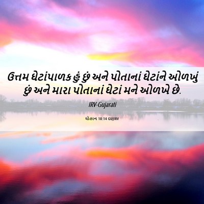 Picture 06 - યોહાન 10:14 GUJIRV - ઉત્તમ ઘેટાંપાળક - Bible Verse Picture