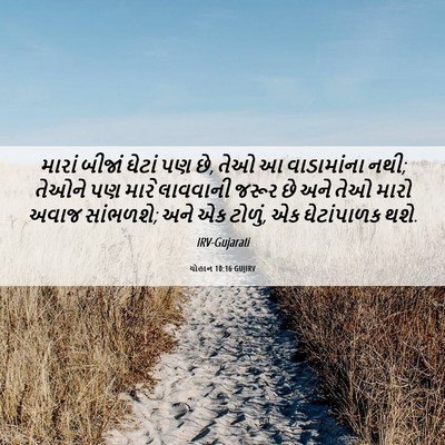 Picture 06 - યોહાન 10:16 GUJIRV - મારાં બીજાં ઘેટાં - Bible Verse Picture